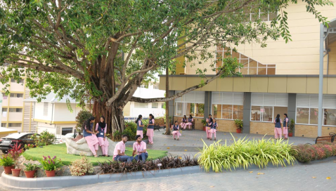 Nursing Institute Image