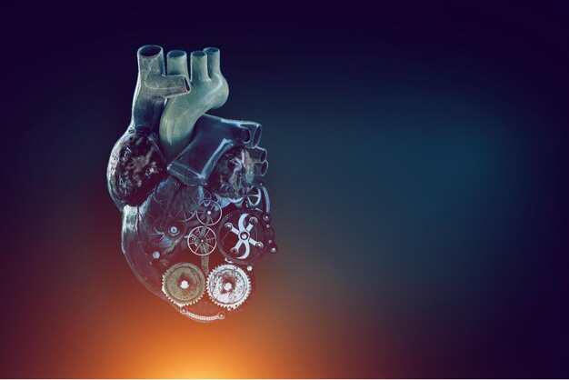 The Role of Robotics in Interventional Cardiology Procedures