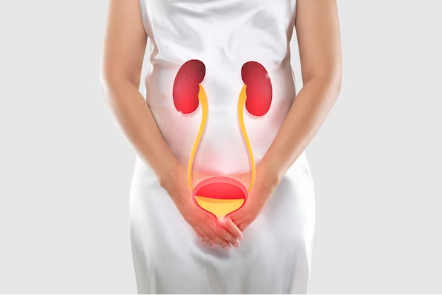Urinary Tract Infection (UTI): Causes, Symptoms, Treatment, and Prevention