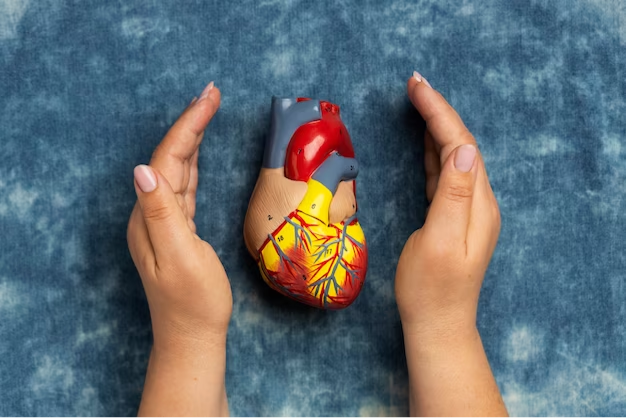 Heart-Healthy Lifestyle Changes: Small Steps to a Healthier Heart