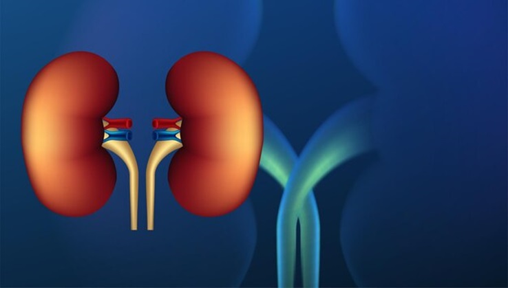 A Second Chance at Life: The Marvels of Kidney Transplantation